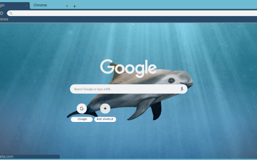 Ca Heo Chung  from Chrome web store to be run with OffiDocs Chromium online