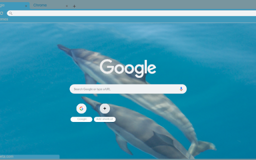 Ca Heo Spinner  from Chrome web store to be run with OffiDocs Chromium online