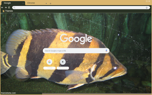 Ca ho  from Chrome web store to be run with OffiDocs Chromium online