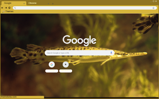 Ca lang  from Chrome web store to be run with OffiDocs Chromium online