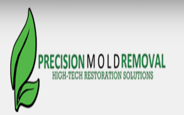 Calculating Precise Cost for Mold Removal  from Chrome web store to be run with OffiDocs Chromium online