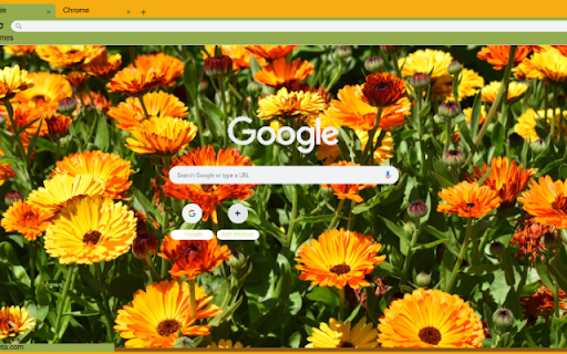 Calendula  from Chrome web store to be run with OffiDocs Chromium online