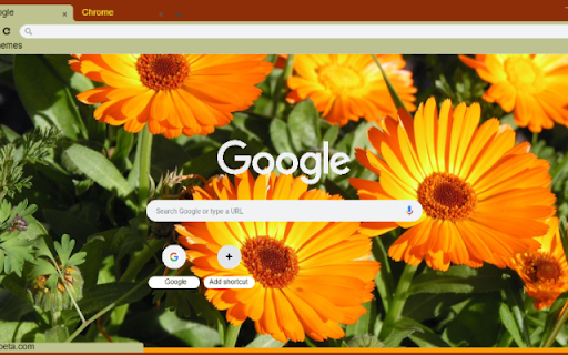 Calendula Orange  from Chrome web store to be run with OffiDocs Chromium online