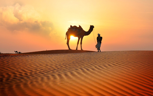 Camel and Sunset  from Chrome web store to be run with OffiDocs Chromium online