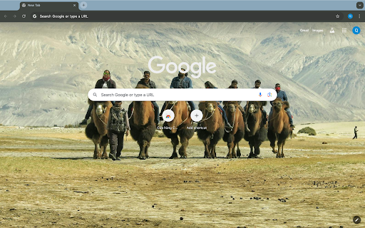 camels and savannas  from Chrome web store to be run with OffiDocs Chromium online