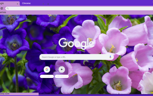 Campanula  from Chrome web store to be run with OffiDocs Chromium online
