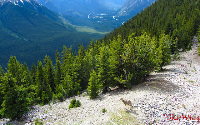 Canadian Rockies  from Chrome web store to be run with OffiDocs Chromium online