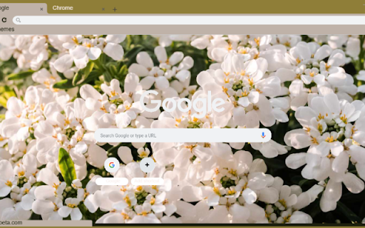 Candytuft  from Chrome web store to be run with OffiDocs Chromium online