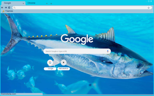 Ca Ngu  from Chrome web store to be run with OffiDocs Chromium online