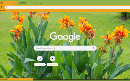 Canna Lily  from Chrome web store to be run with OffiDocs Chromium online