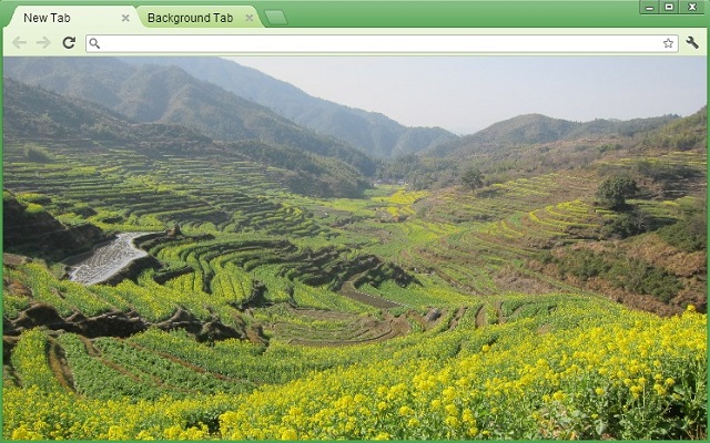 Canola Flower  from Chrome web store to be run with OffiDocs Chromium online