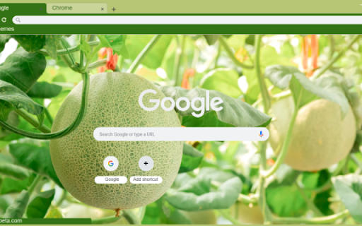 Cantaloupe Tree  from Chrome web store to be run with OffiDocs Chromium online