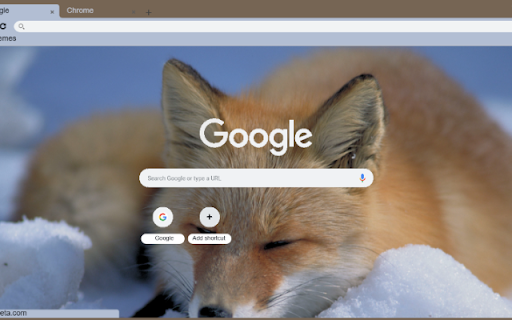 Cao  from Chrome web store to be run with OffiDocs Chromium online