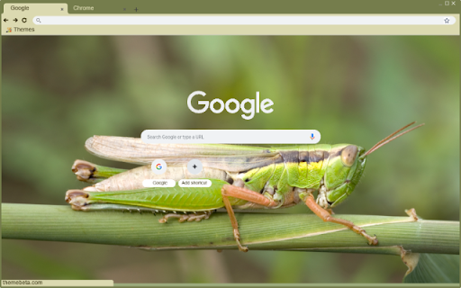 Cao cao  from Chrome web store to be run with OffiDocs Chromium online
