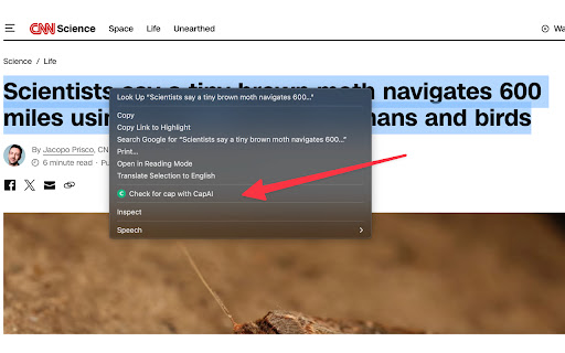 CapAI AI Fact Checker  from Chrome web store to be run with OffiDocs Chromium online