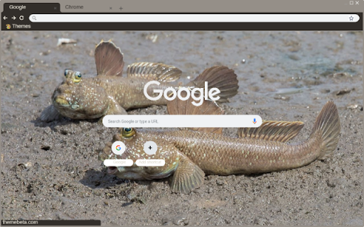 Ca phong  from Chrome web store to be run with OffiDocs Chromium online