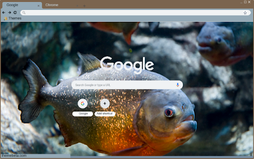 Ca Piranha  from Chrome web store to be run with OffiDocs Chromium online