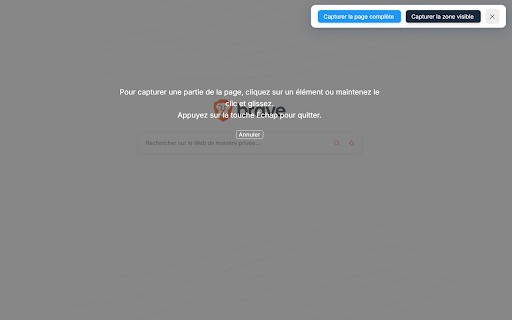 CaptureFlash  from Chrome web store to be run with OffiDocs Chromium online