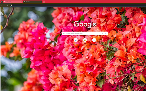 captures a bougainvillea tree in full bloom  from Chrome web store to be run with OffiDocs Chromium online