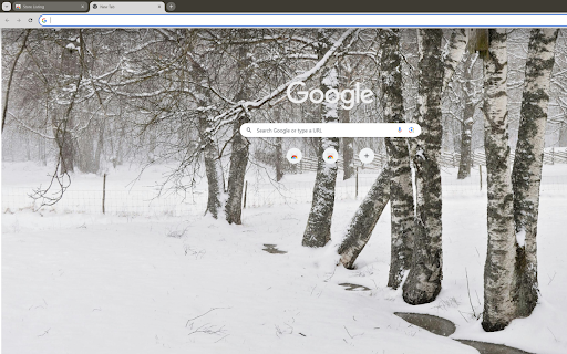 captures a forest after a snowstorm  from Chrome web store to be run with OffiDocs Chromium online