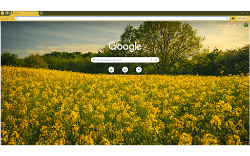 captures a scenic field in the countryside  from Chrome web store to be run with OffiDocs Chromium online