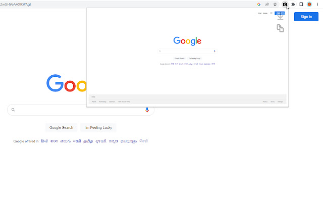 Capture Screenshot  from Chrome web store to be run with OffiDocs Chromium online