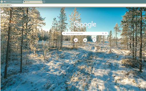 captures dawn in a snow covered pine forest  from Chrome web store to be run with OffiDocs Chromium online