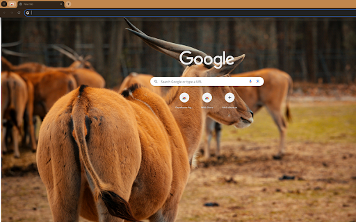 captures long horned antelopes, their sharp  from Chrome web store to be run with OffiDocs Chromium online