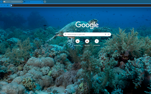 Captures the world rarest turtle  from Chrome web store to be run with OffiDocs Chromium online
