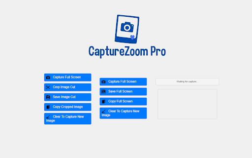 CaptureZoom Pro  from Chrome web store to be run with OffiDocs Chromium online