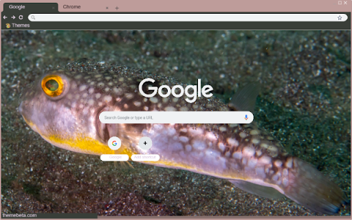 Ca Puffer  from Chrome web store to be run with OffiDocs Chromium online