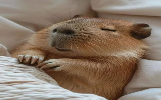 capybara wallpaper  from Chrome web store to be run with OffiDocs Chromium online