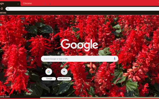 Cardinal Flower  from Chrome web store to be run with OffiDocs Chromium online