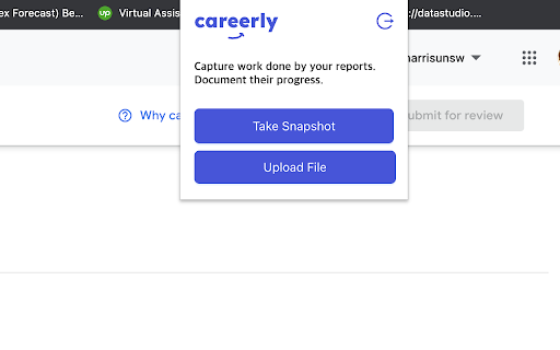 Careerly  from Chrome web store to be run with OffiDocs Chromium online