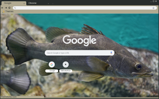 Ca Ro  from Chrome web store to be run with OffiDocs Chromium online