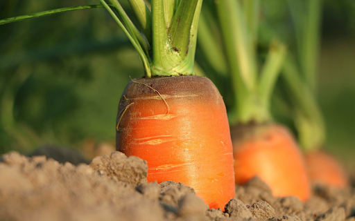 Carrots grow  from Chrome web store to be run with OffiDocs Chromium online