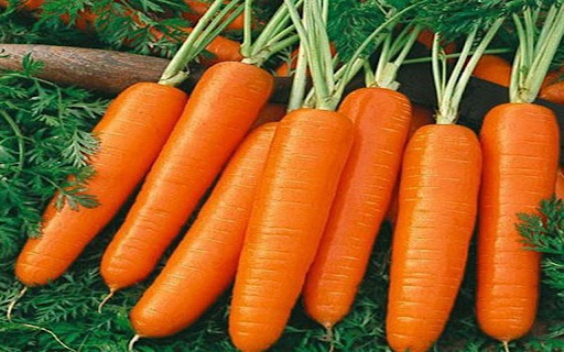 Carrot wallpaper  from Chrome web store to be run with OffiDocs Chromium online