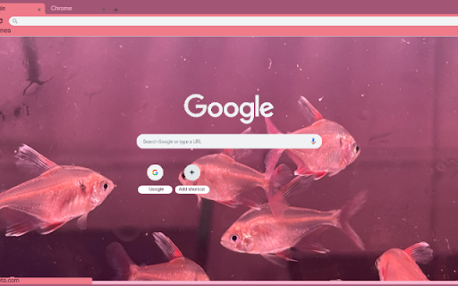 Ca Siam  from Chrome web store to be run with OffiDocs Chromium online