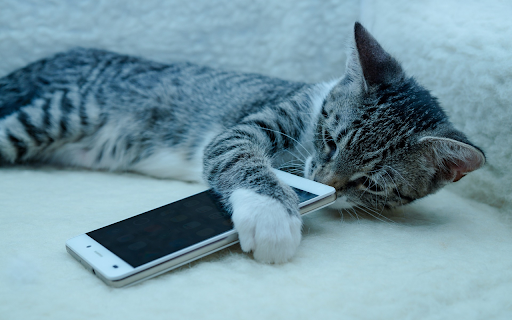 Cat and phone  from Chrome web store to be run with OffiDocs Chromium online