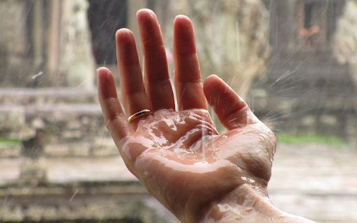 Catch the rain  from Chrome web store to be run with OffiDocs Chromium online