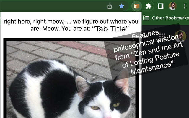 Catloaf, where are we?  from Chrome web store to be run with OffiDocs Chromium online