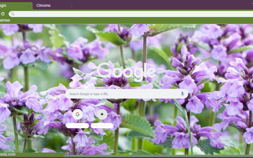 Catmint  from Chrome web store to be run with OffiDocs Chromium online