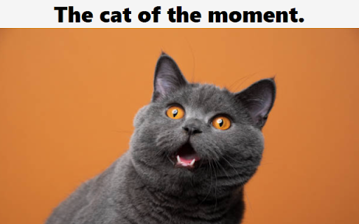 Cat of the moment  from Chrome web store to be run with OffiDocs Chromium online