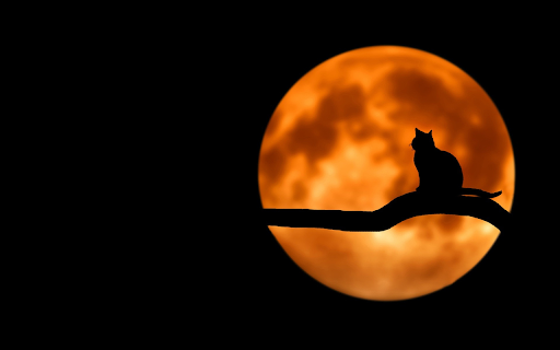 Cat on the moon  from Chrome web store to be run with OffiDocs Chromium online