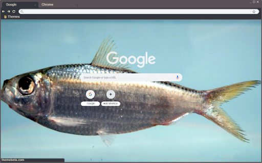 Ca trich  from Chrome web store to be run with OffiDocs Chromium online