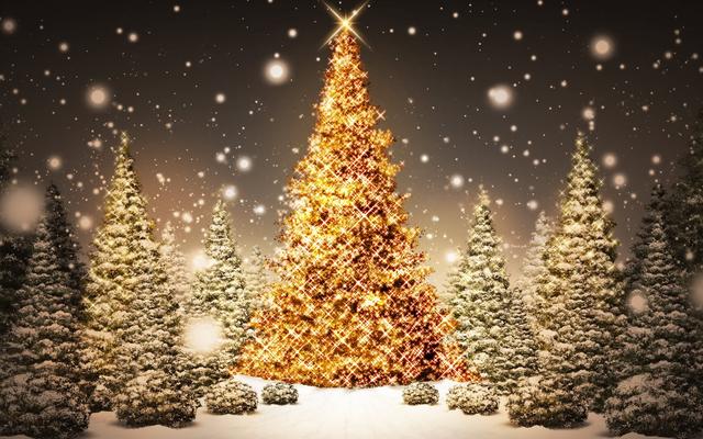 Cat Santa Claus Desktop Wallpaper Kitten  from Chrome web store to be run with OffiDocs Chromium online
