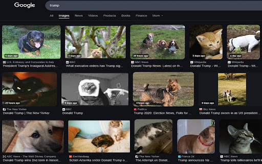 CatsDogs  from Chrome web store to be run with OffiDocs Chromium online