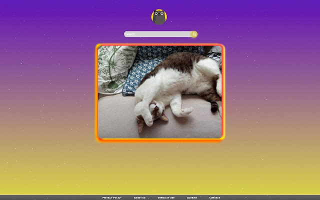 Cats fanpage  from Chrome web store to be run with OffiDocs Chromium online