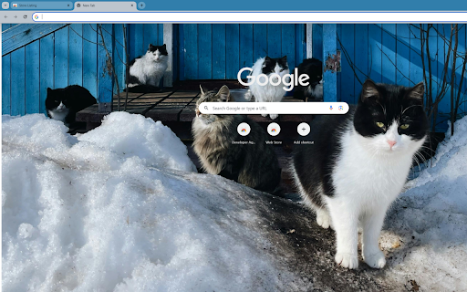 Cats frolicking in the snow  from Chrome web store to be run with OffiDocs Chromium online