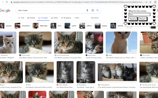 Cats Instead  from Chrome web store to be run with OffiDocs Chromium online